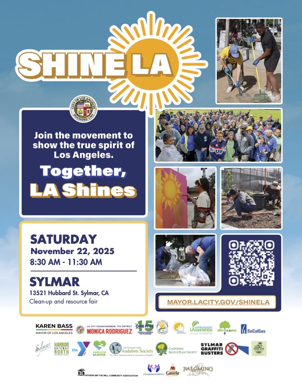 Shine LA